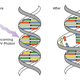 Illustration for article titled How Ultraviolet Light Will Sterilize Super Bugs